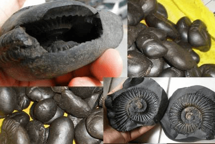 കടുശർക്കര പ്രയോഗം